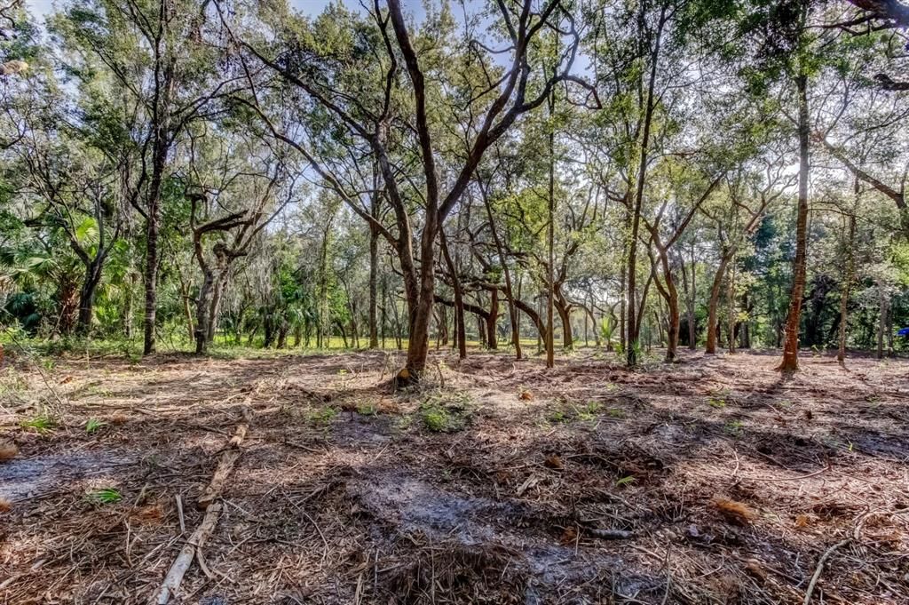 For Sale: $147,000 (2.01 acres)