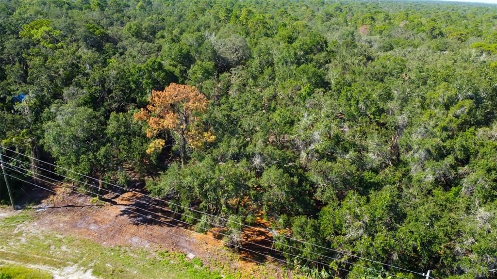 For Sale: $147,000 (2.01 acres)