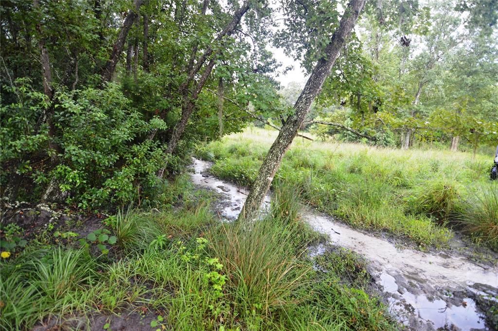 For Sale: $1,699,000 (3 beds, 4 baths, 2829 Square Feet)