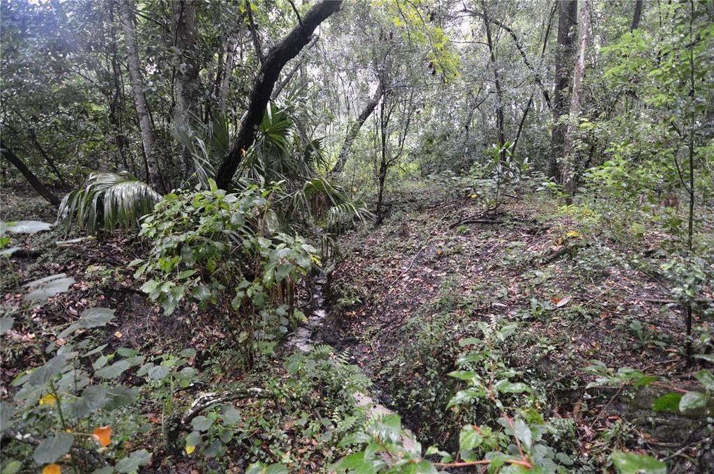 For Sale: $1,699,000 (3 beds, 4 baths, 2829 Square Feet)