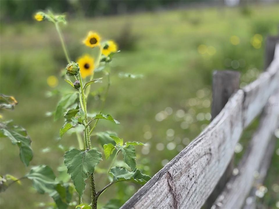 For Sale: $1,699,000 (3 beds, 4 baths, 2829 Square Feet)