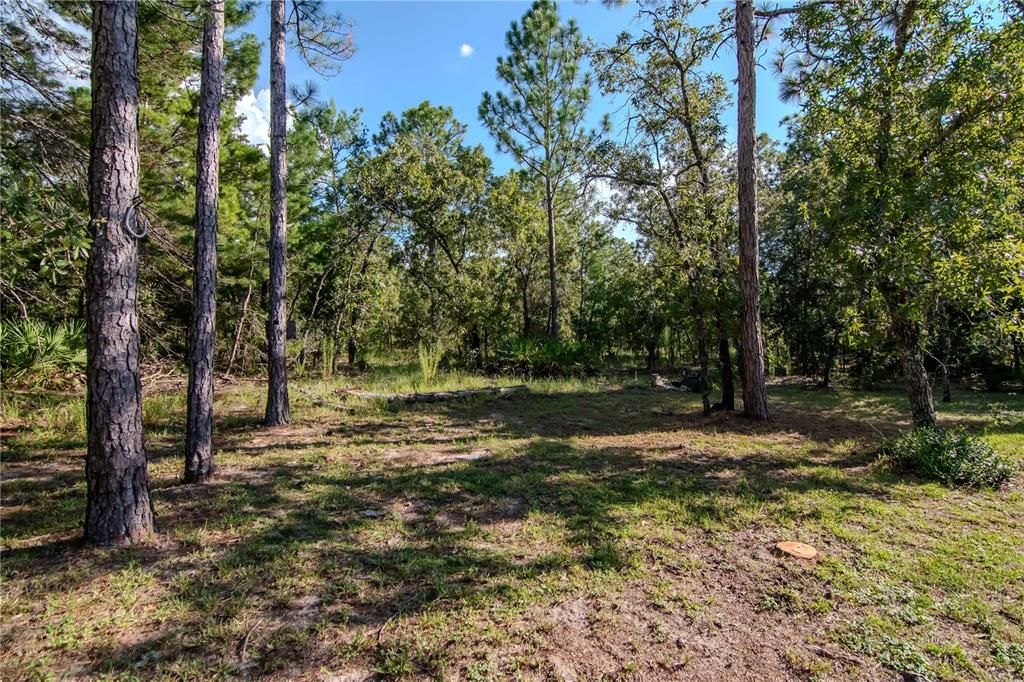 For Sale: $544,900 (5 beds, 3 baths, 3249 Square Feet)