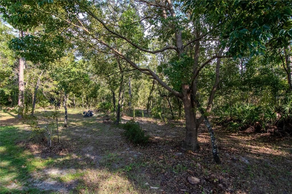 For Sale: $544,900 (5 beds, 3 baths, 3249 Square Feet)