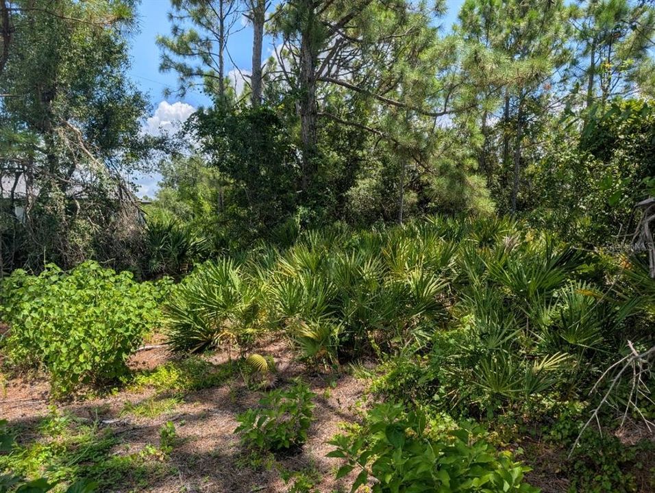 Activo con contrato: $19,900 (0.23 acres)