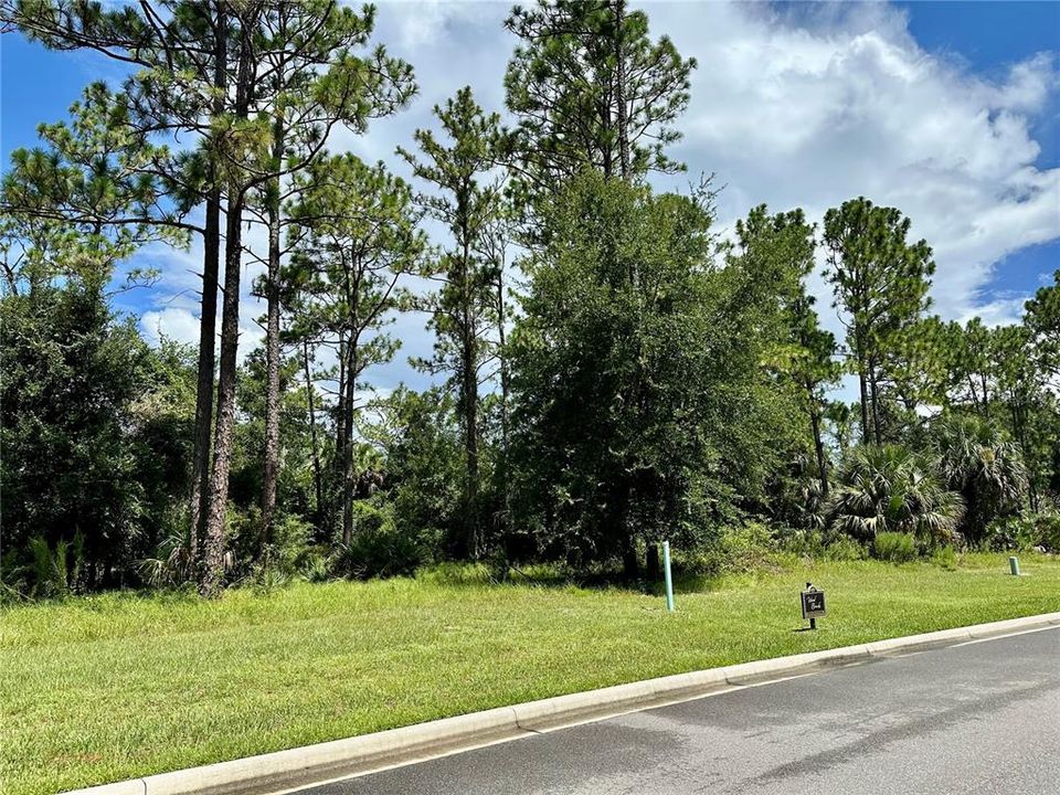 На продажу: $390,000 (1.00 acres)