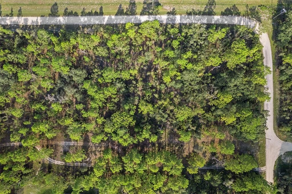 For Sale: $249,999 (1.45 acres)