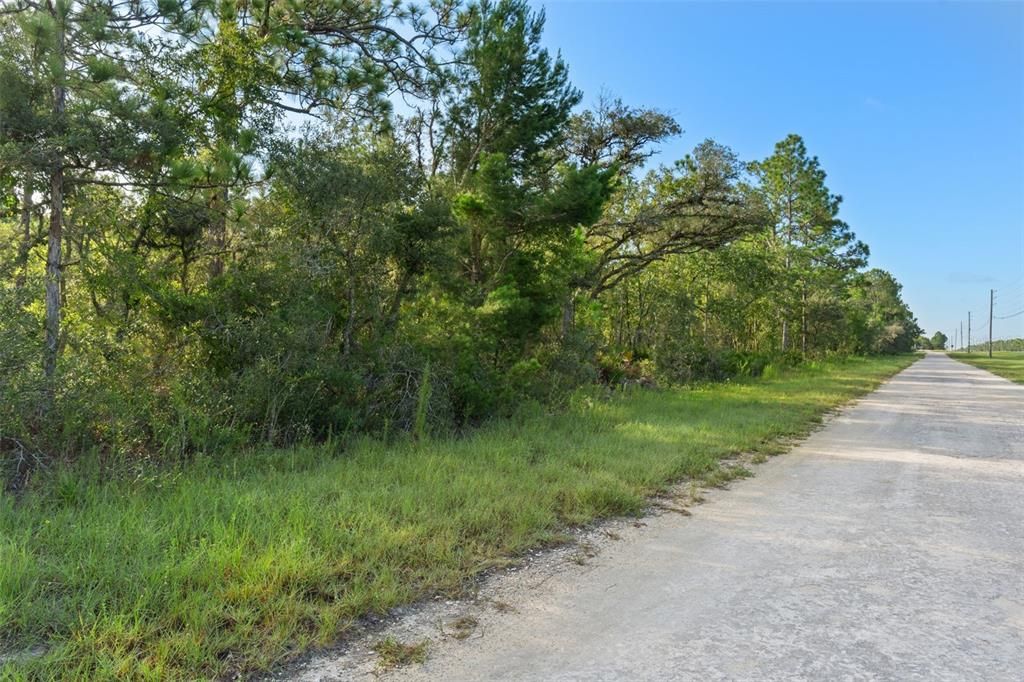 For Sale: $249,999 (1.45 acres)