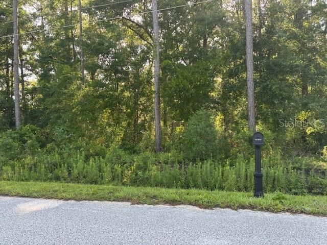 For Sale: $39,900 (0.24 acres)