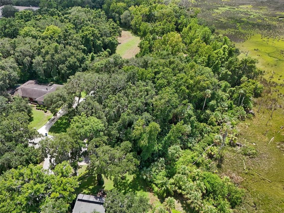 На продажу: $250,000 (3.75 acres)