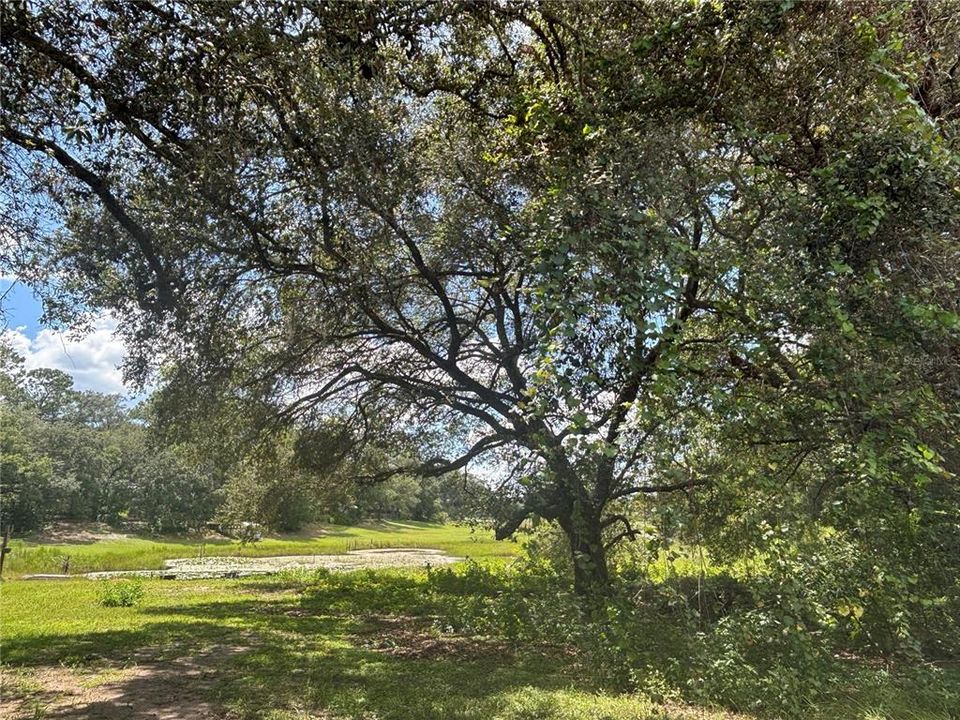 На продажу: $17,800 (0.31 acres)