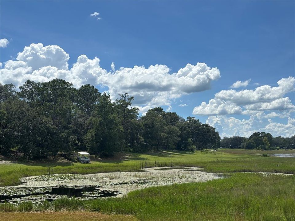 На продажу: $17,800 (0.31 acres)