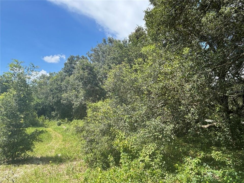 На продажу: $17,800 (0.31 acres)