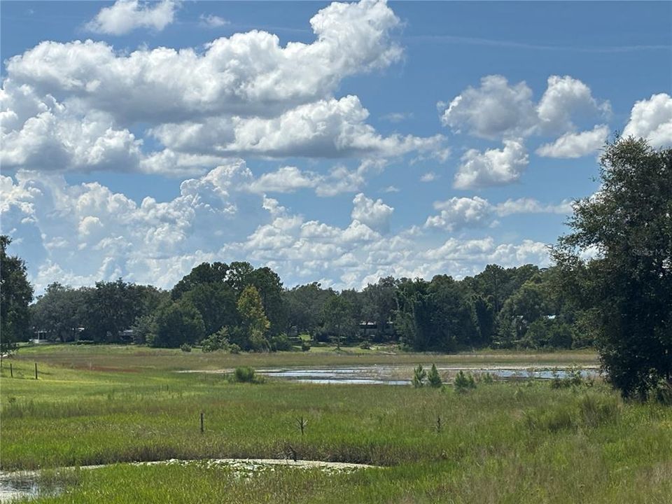 На продажу: $17,800 (0.31 acres)