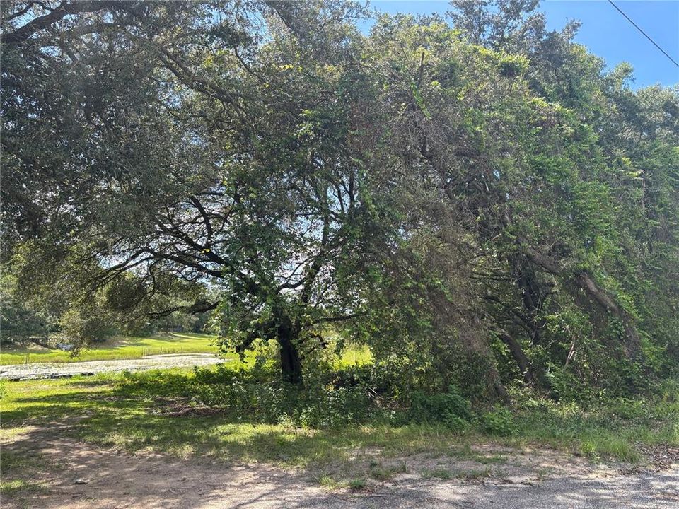 На продажу: $17,800 (0.31 acres)