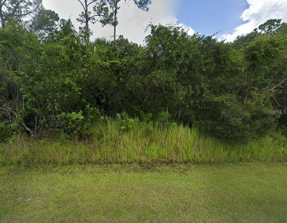 待售: $125,000 (1.13 acres)