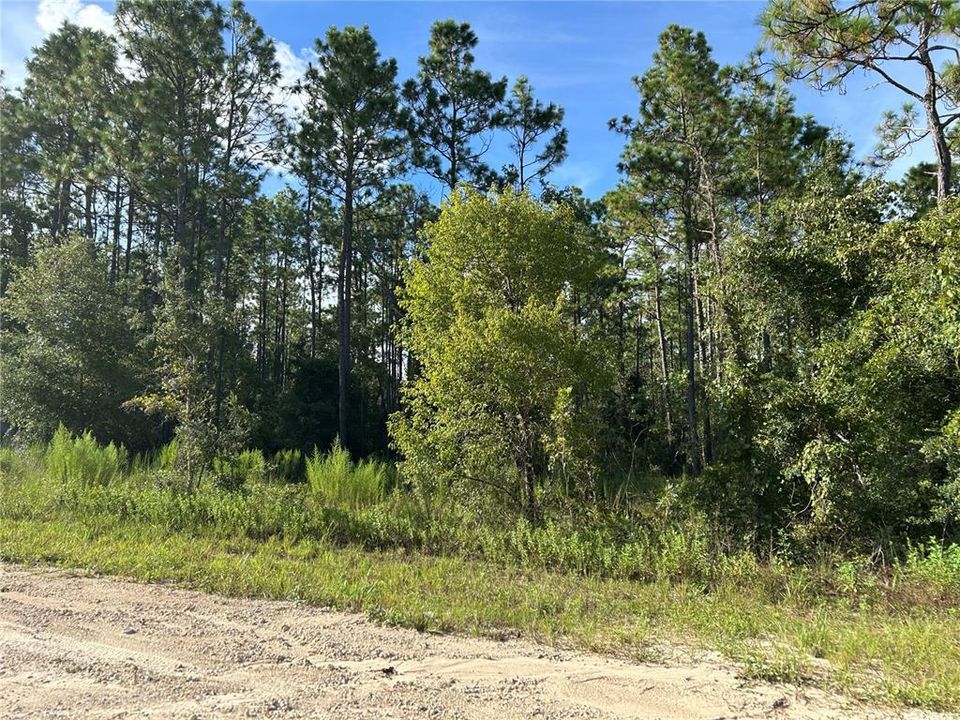 For Sale: $60,000 (2.00 acres)