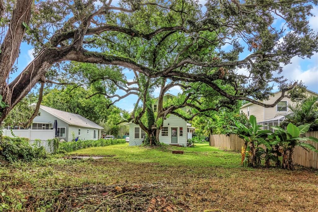 Под контрактом: $420,000 (3 спален, 2 ванн, 1620 Квадратных фут)