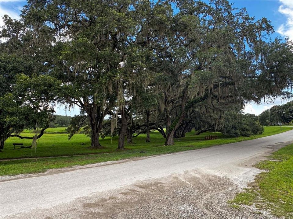 En Venta: $30,000 (0.22 acres)