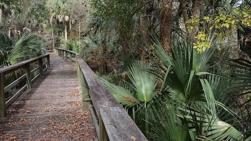 Activo con contrato: $199,000 (10.73 acres)