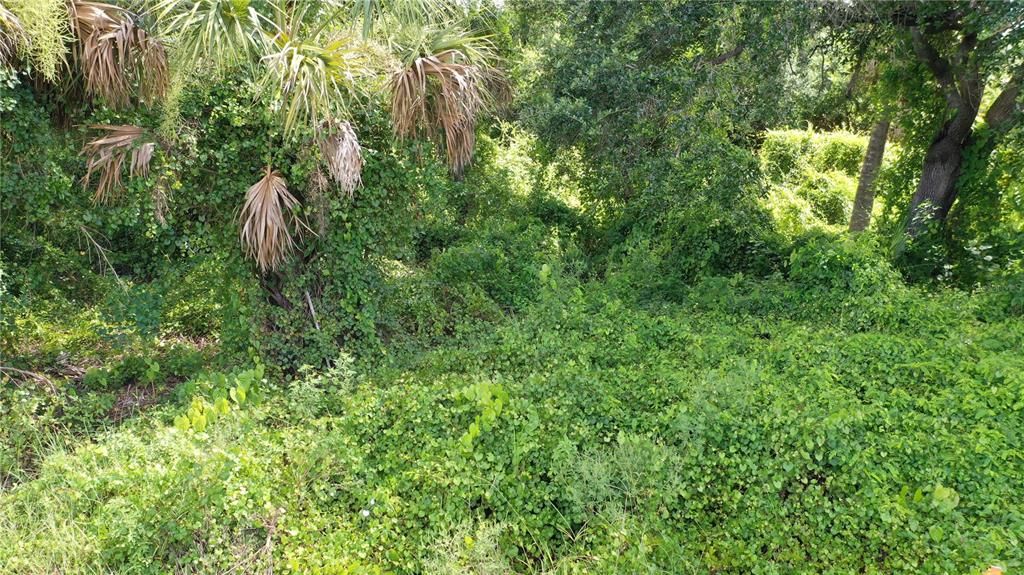 待售: $82,750 (0.82 acres)