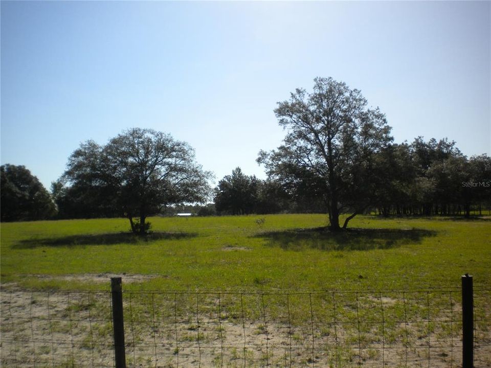En Venta: $36,995 (1.01 acres)