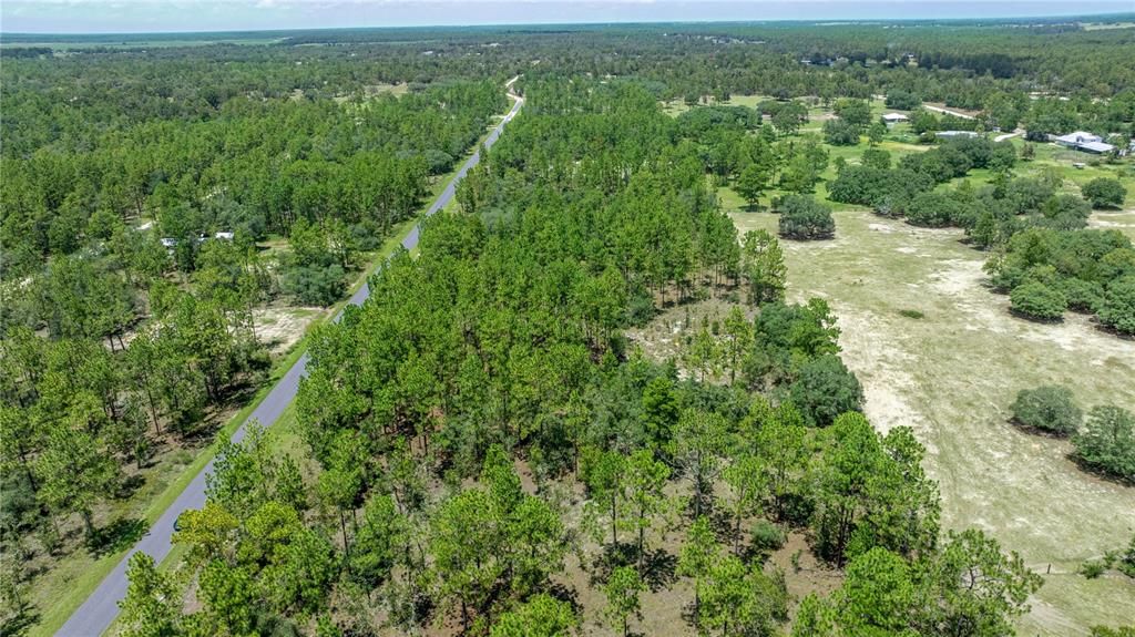 En Venta: $36,995 (1.01 acres)