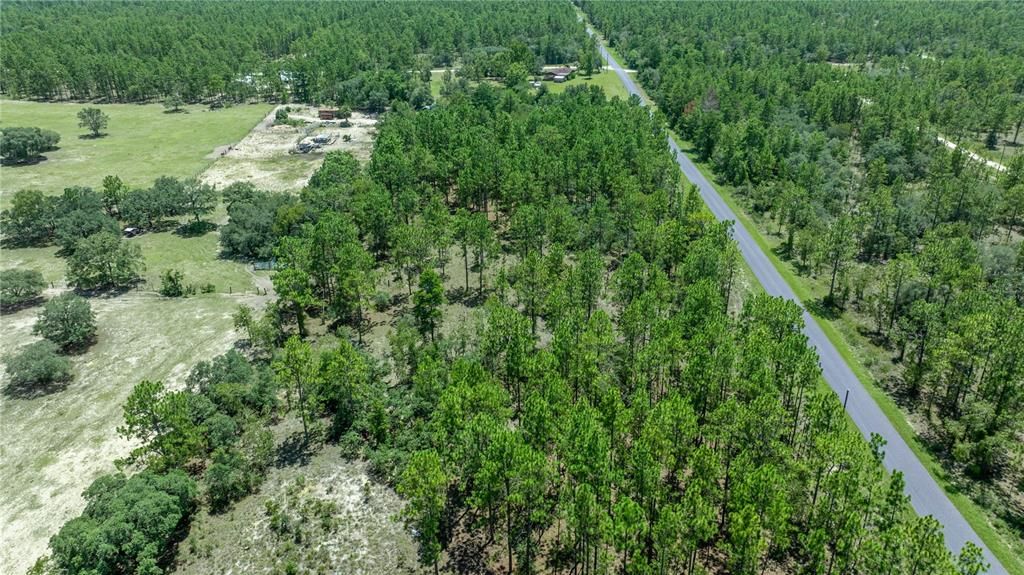 En Venta: $36,995 (1.01 acres)