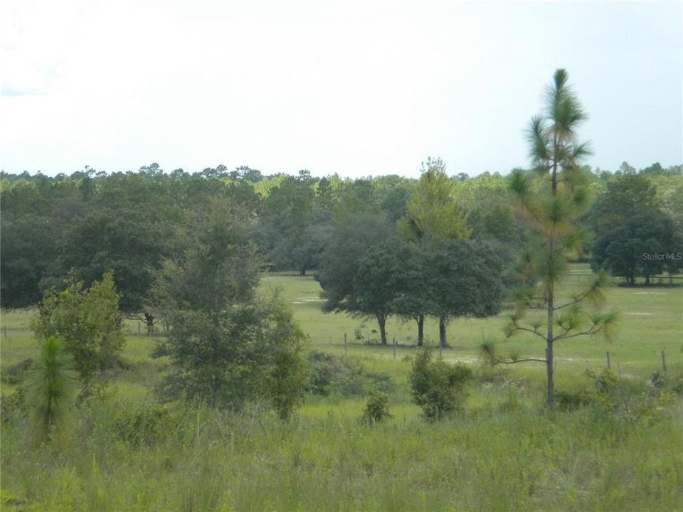 En Venta: $36,995 (1.01 acres)