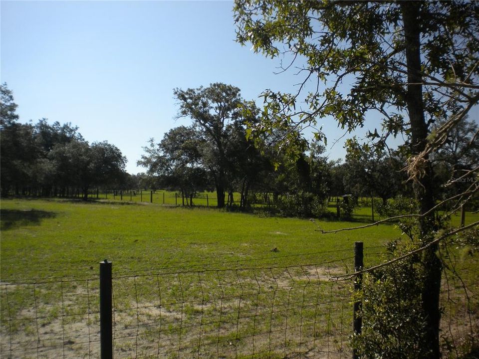 En Venta: $36,995 (1.01 acres)