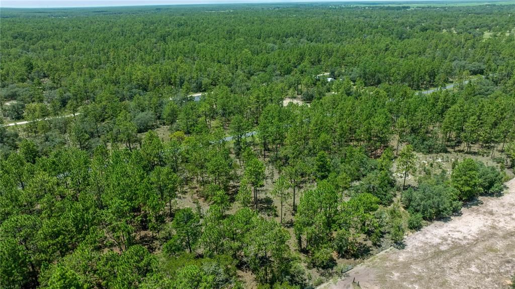 En Venta: $36,995 (1.01 acres)