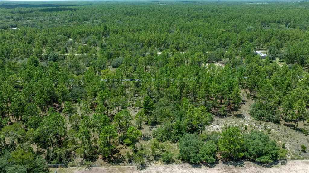 En Venta: $36,995 (1.01 acres)