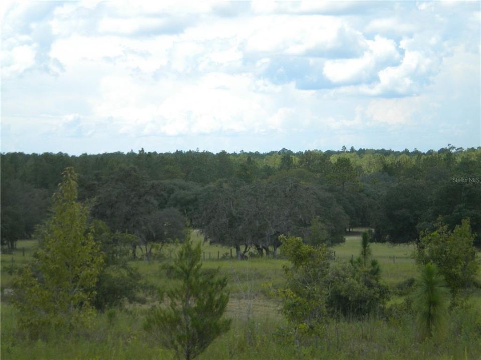 En Venta: $36,995 (1.01 acres)