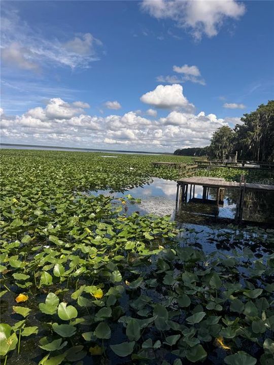 На продажу: $219,900 (3 спален, 2 ванн, 1748 Квадратных фут)