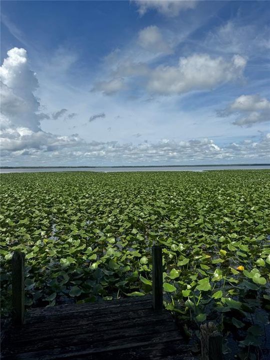 На продажу: $219,900 (3 спален, 2 ванн, 1748 Квадратных фут)