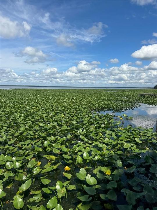 На продажу: $219,900 (3 спален, 2 ванн, 1748 Квадратных фут)