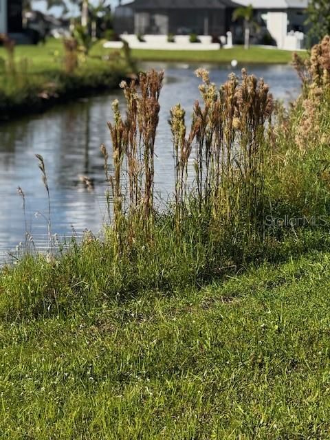 На продажу: $39,000 (0.23 acres)