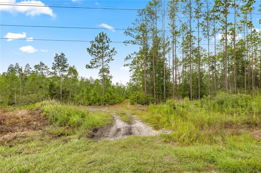 For Sale: $79,999 (10.00 acres)