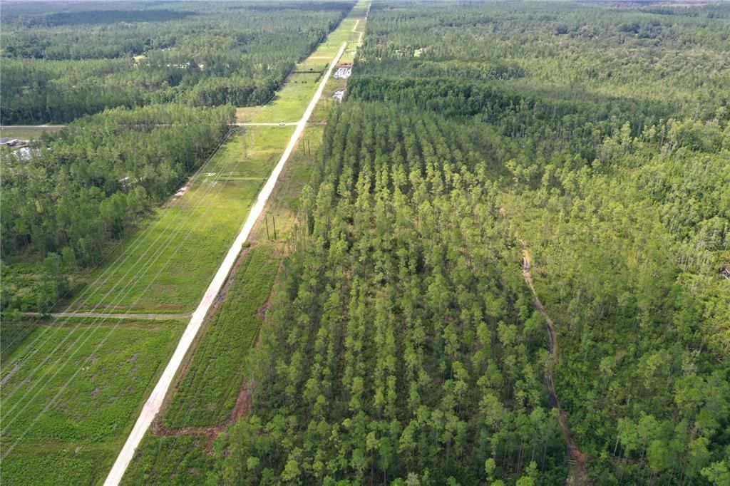 For Sale: $79,999 (10.00 acres)