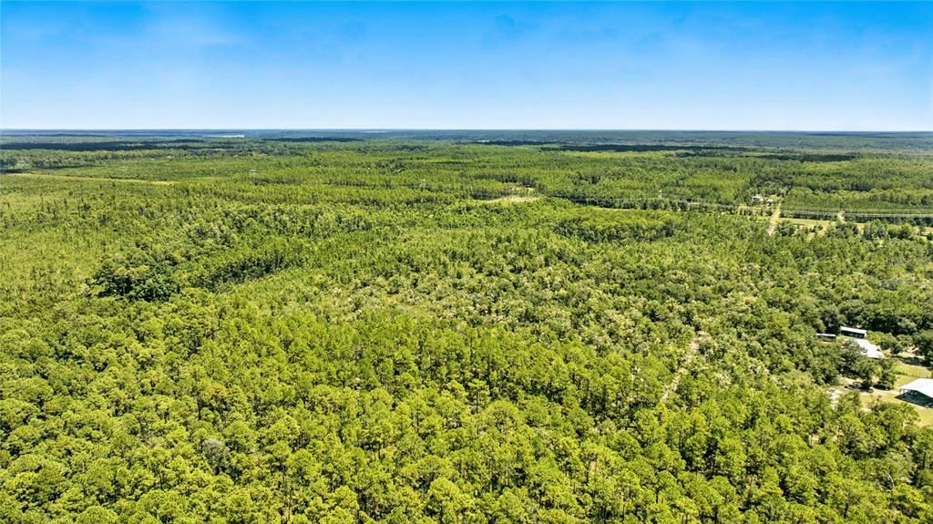 待售: $85,000 (10.64 acres)