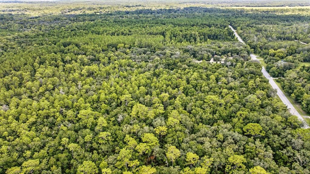 For Sale: $175,000 (13.60 acres)