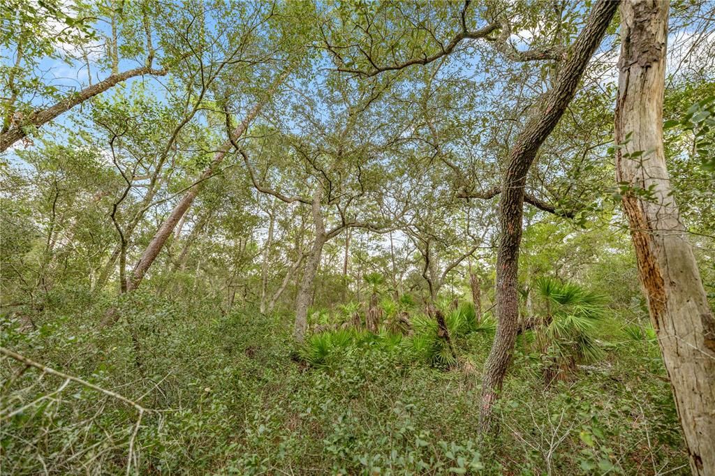 For Sale: $175,000 (13.60 acres)