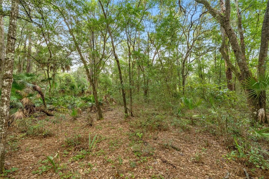 For Sale: $175,000 (13.60 acres)