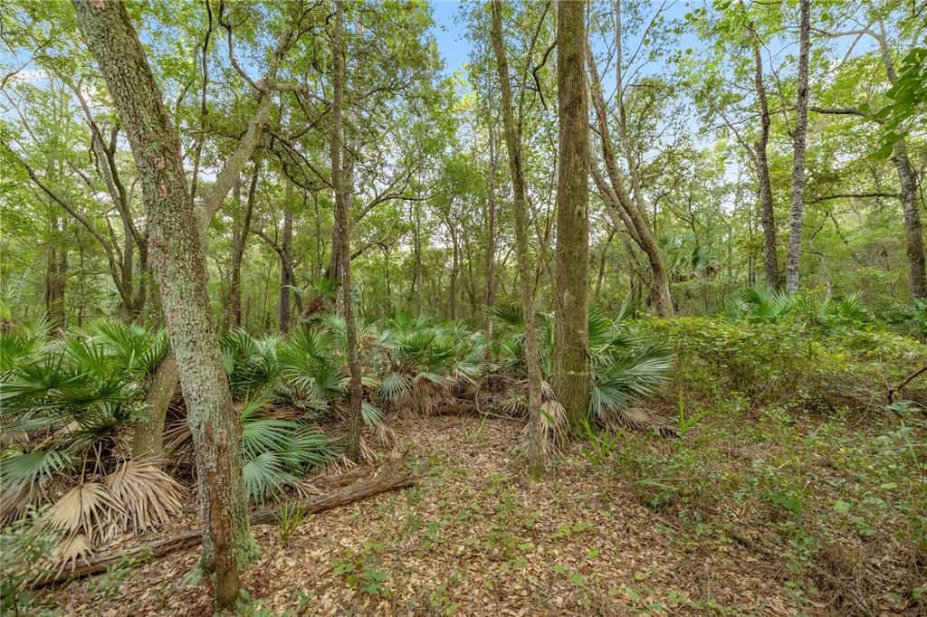 For Sale: $175,000 (13.60 acres)