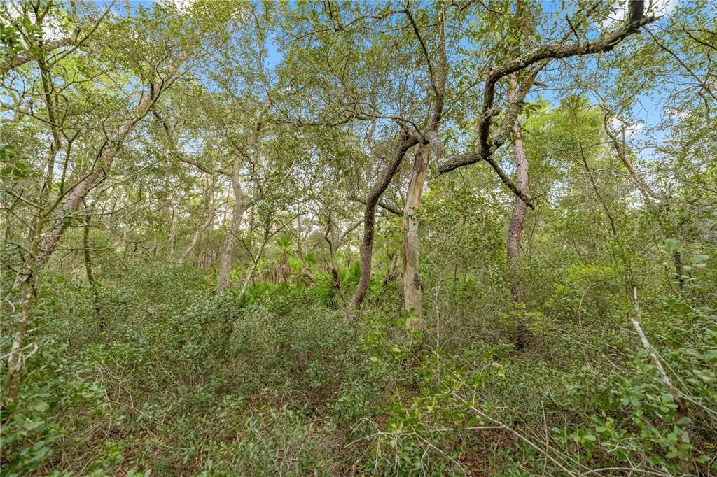 For Sale: $175,000 (13.60 acres)