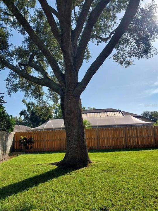 Active With Contract: $569,000 (4 beds, 2 baths, 2491 Square Feet)