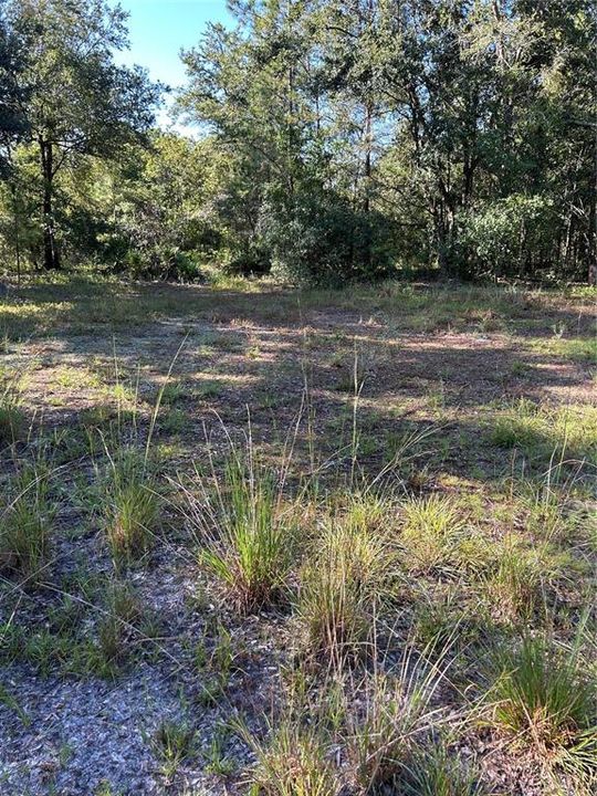 For Sale: $850,000 (13.85 acres)