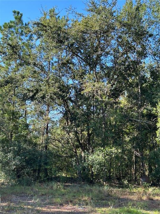 For Sale: $850,000 (13.85 acres)