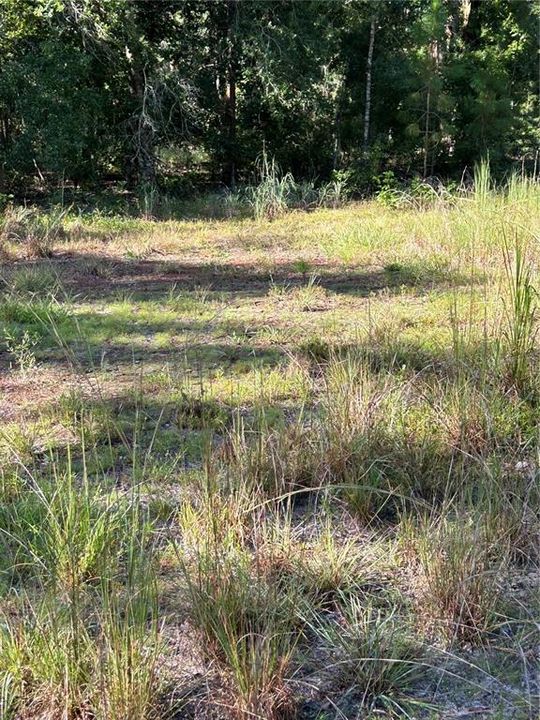 For Sale: $850,000 (13.85 acres)