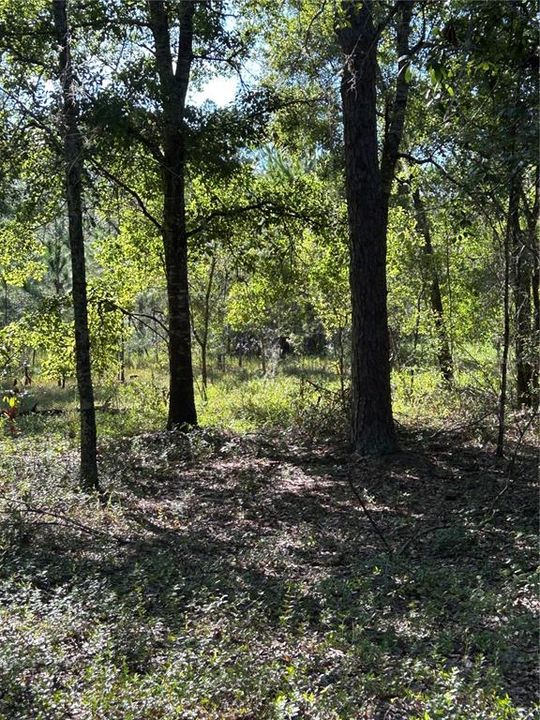 For Sale: $850,000 (13.85 acres)