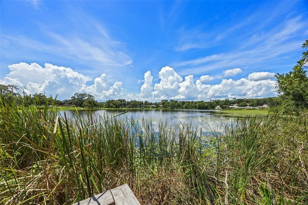 Activo con contrato: $579,900 (4 camas, 3 baños, 3384 Pies cuadrados)